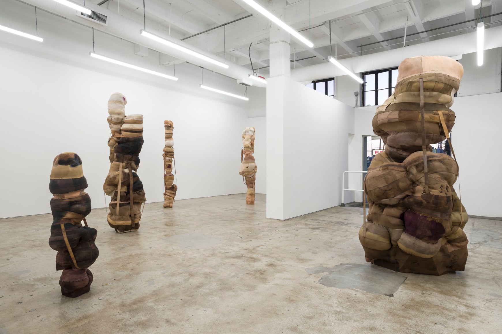 Patricia Ayres, Bound, 2021. Installation view