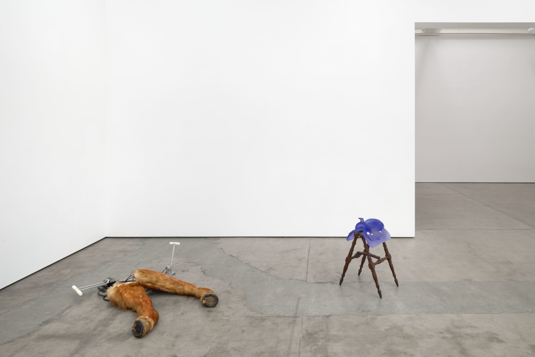 Sula Bermúdez-Silverman, Ichthyocentaur, Matthew Brown, Los Angeles, 2023. Installation view.