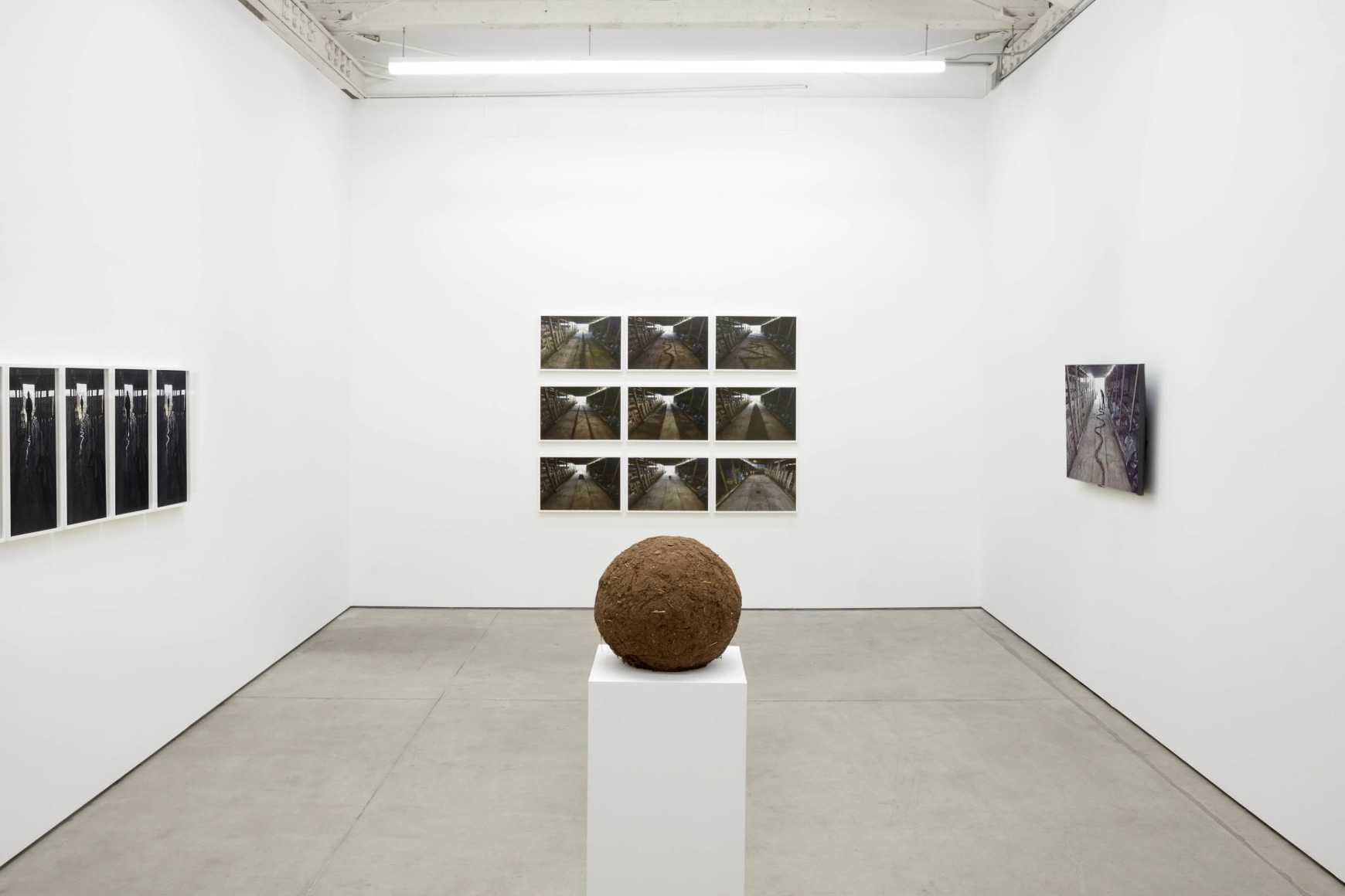 Andy Goldsworthy, Recent Works 2020, 2020