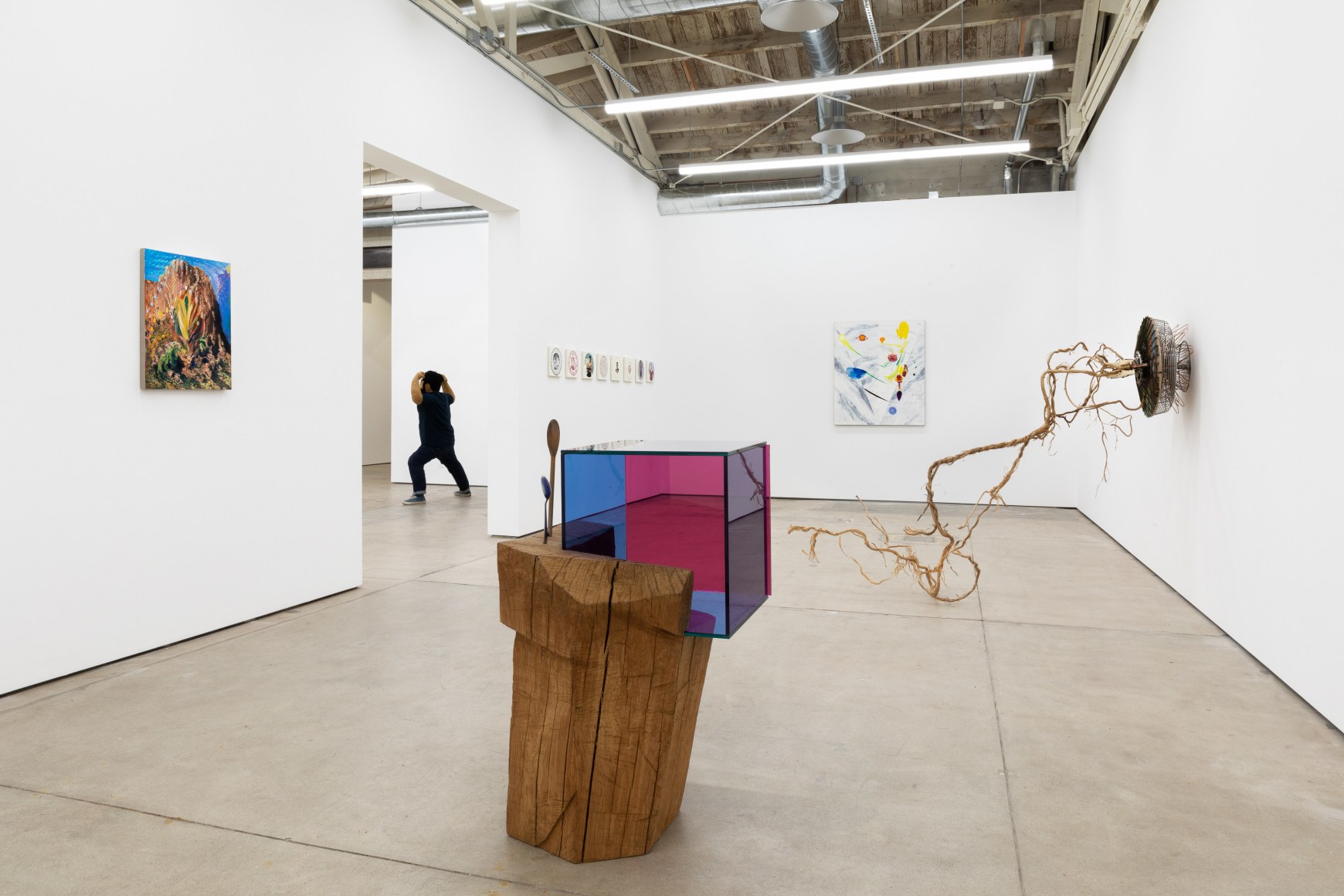 Installation view, That Land That I Live In