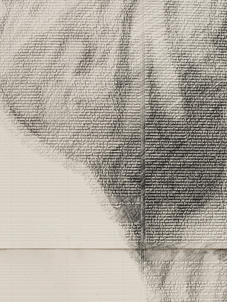 Contending with Contingency IX, 2021, Detail