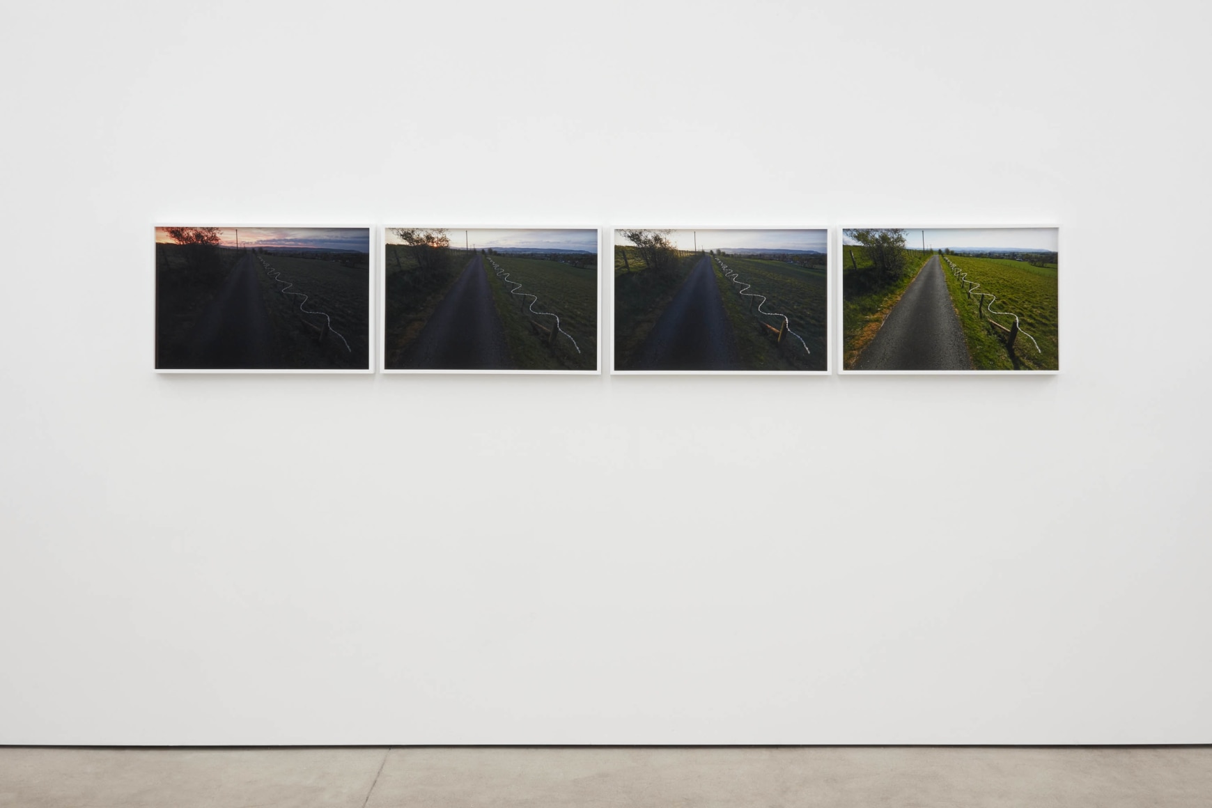 Andy Goldsworthy, Recent Works 2020, 2020