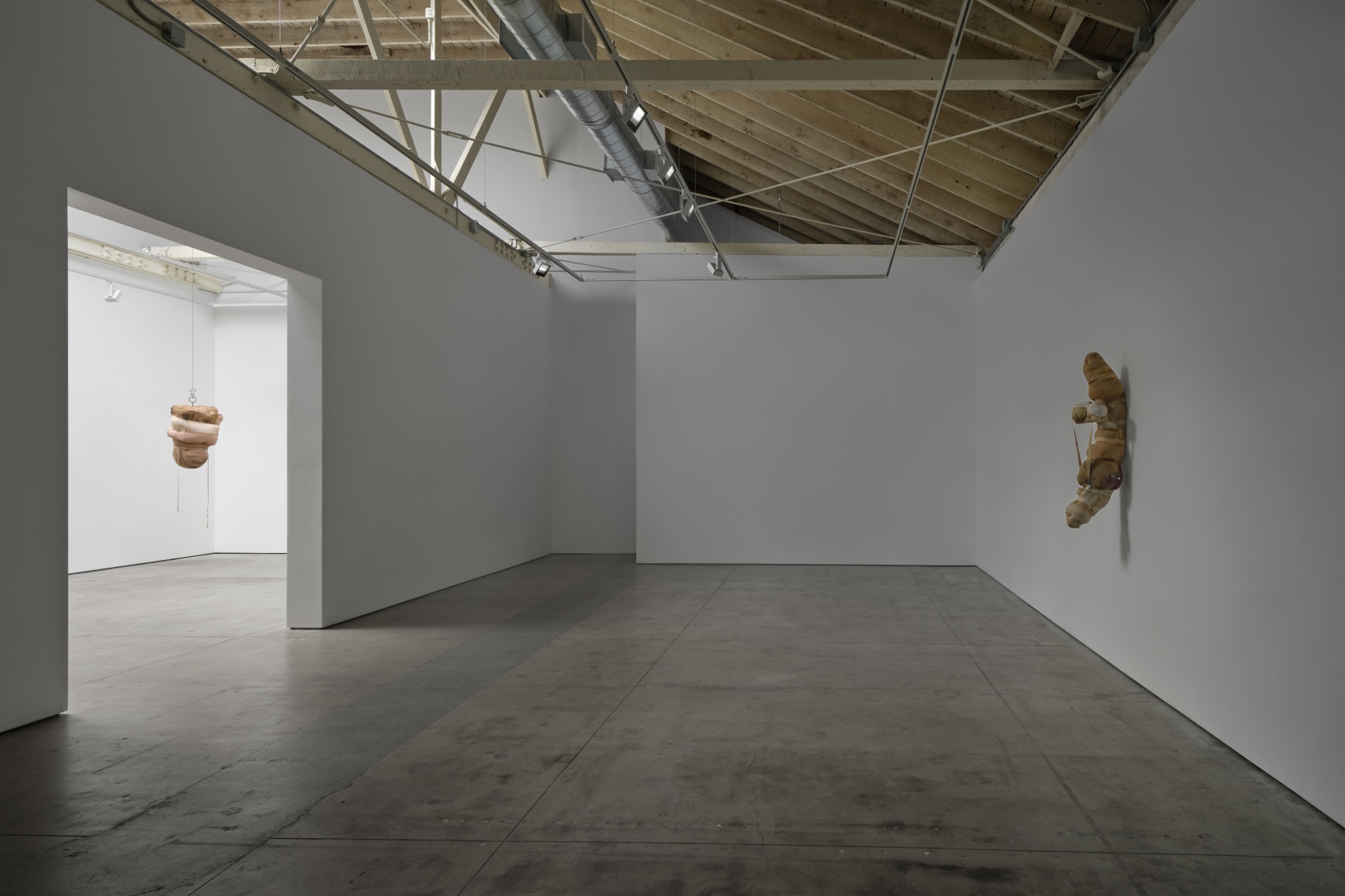 Patricia Ayres, Articles of the Estranged, Matthew Brown, Los Angeles, 2024. Installation view (photo: Paul Salveson). 
