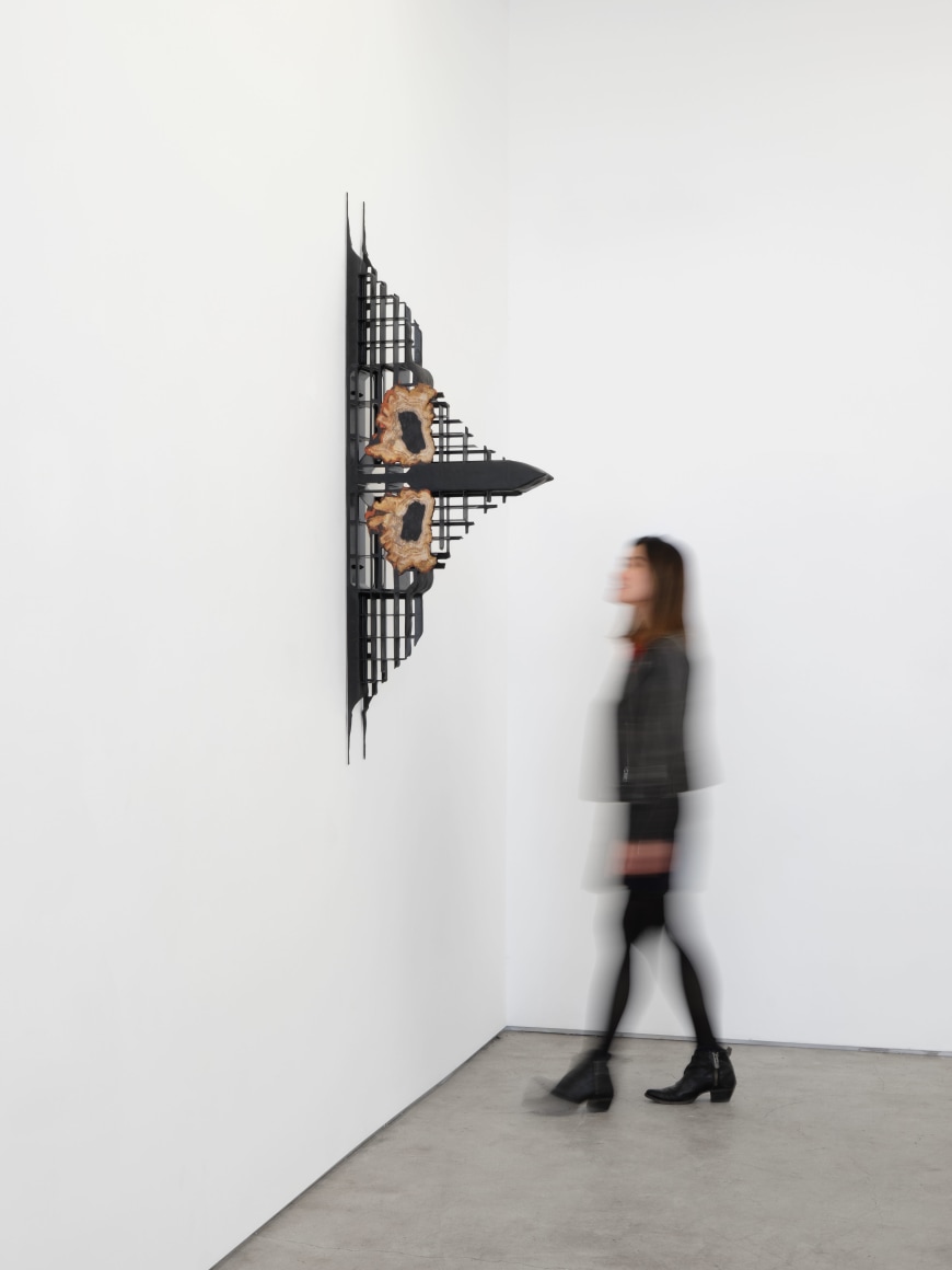 Heidi Lau and Leelee Chan,&nbsp;Chrysalis Spectre,&nbsp;Matthew Brown, Los Angeles, 2024. Installation view (Photo: Paul Salveson).&nbsp;