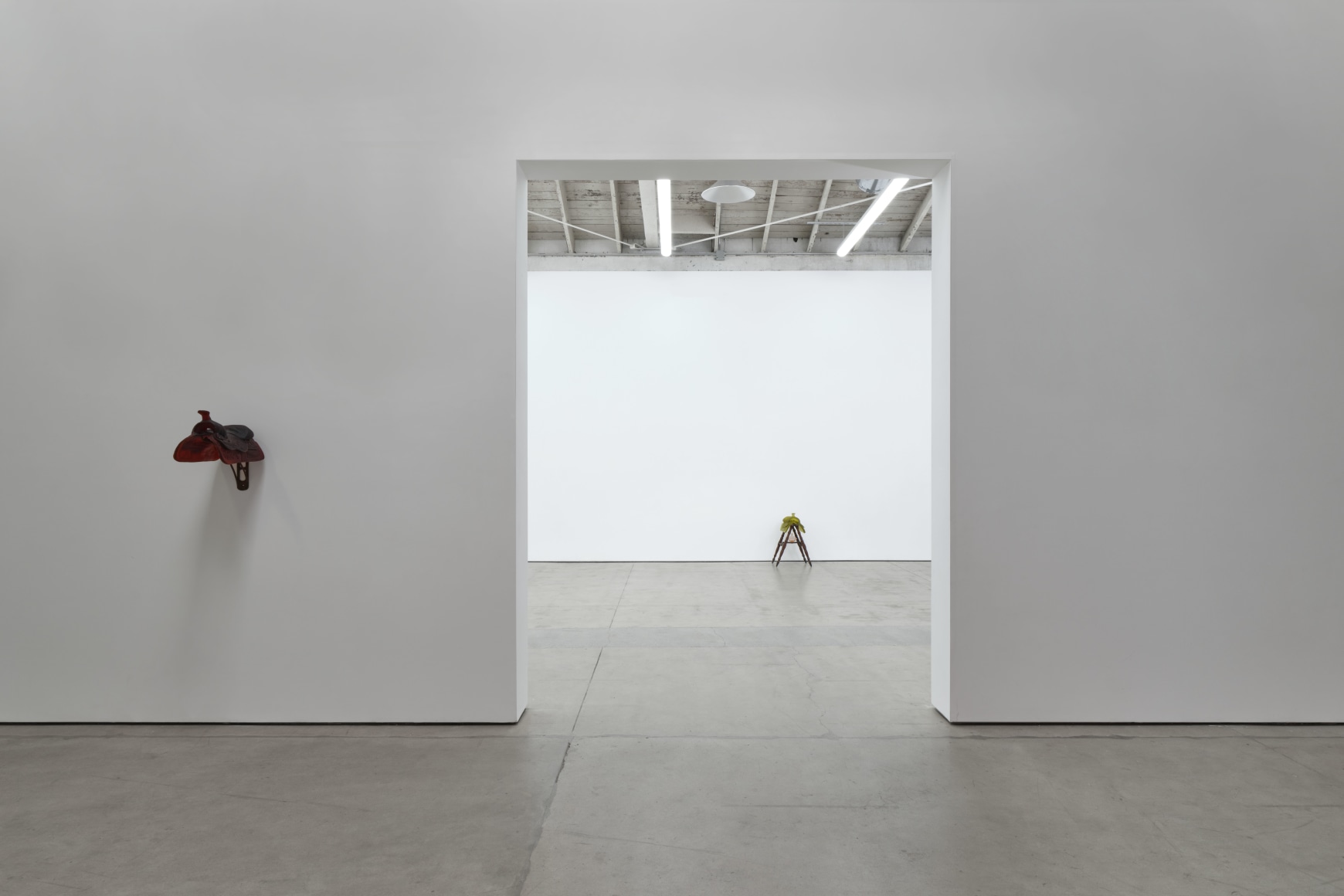 Sula Bermúdez-Silverman, Ichthyocentaur, Matthew Brown, Los Angeles, 2023. Installation view.