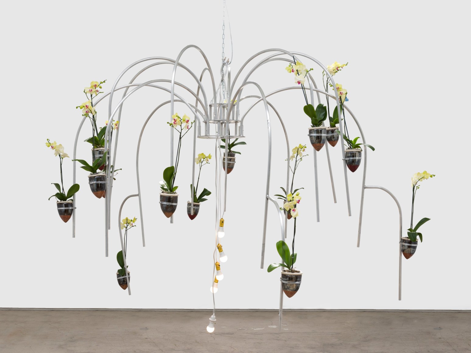 Jeffrey Meris Catch A Stick of Fire IV, 2022