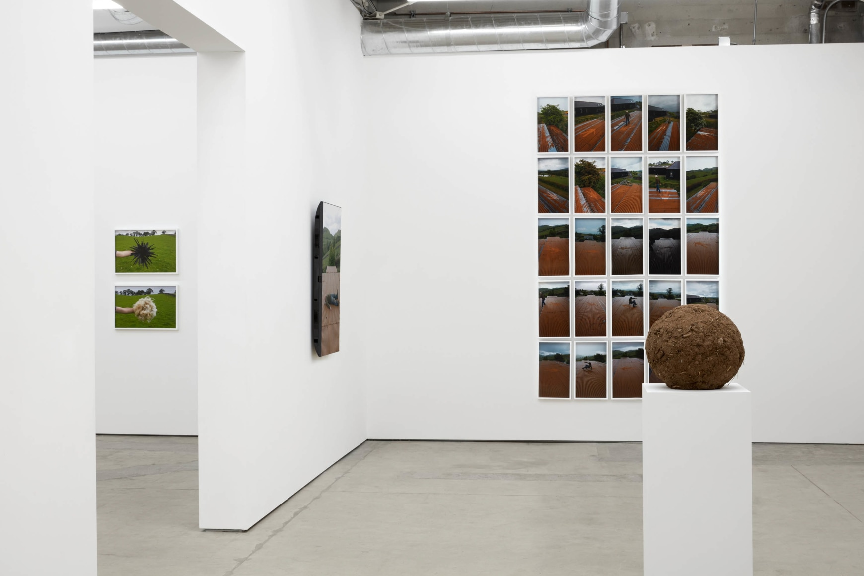 Andy Goldsworthy, Recent Works 2020, 2020