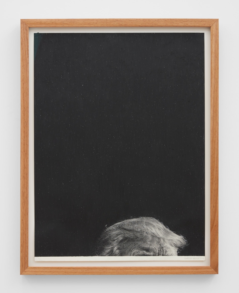 Since 1977 (VIII), 2019