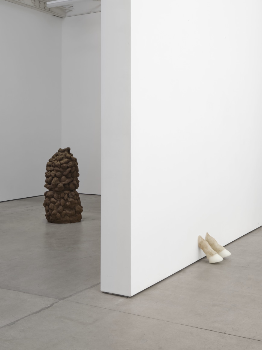 Sula Bermúdez-Silverman, Ichthyocentaur, Matthew Brown, Los Angeles, 2023. Installation view.