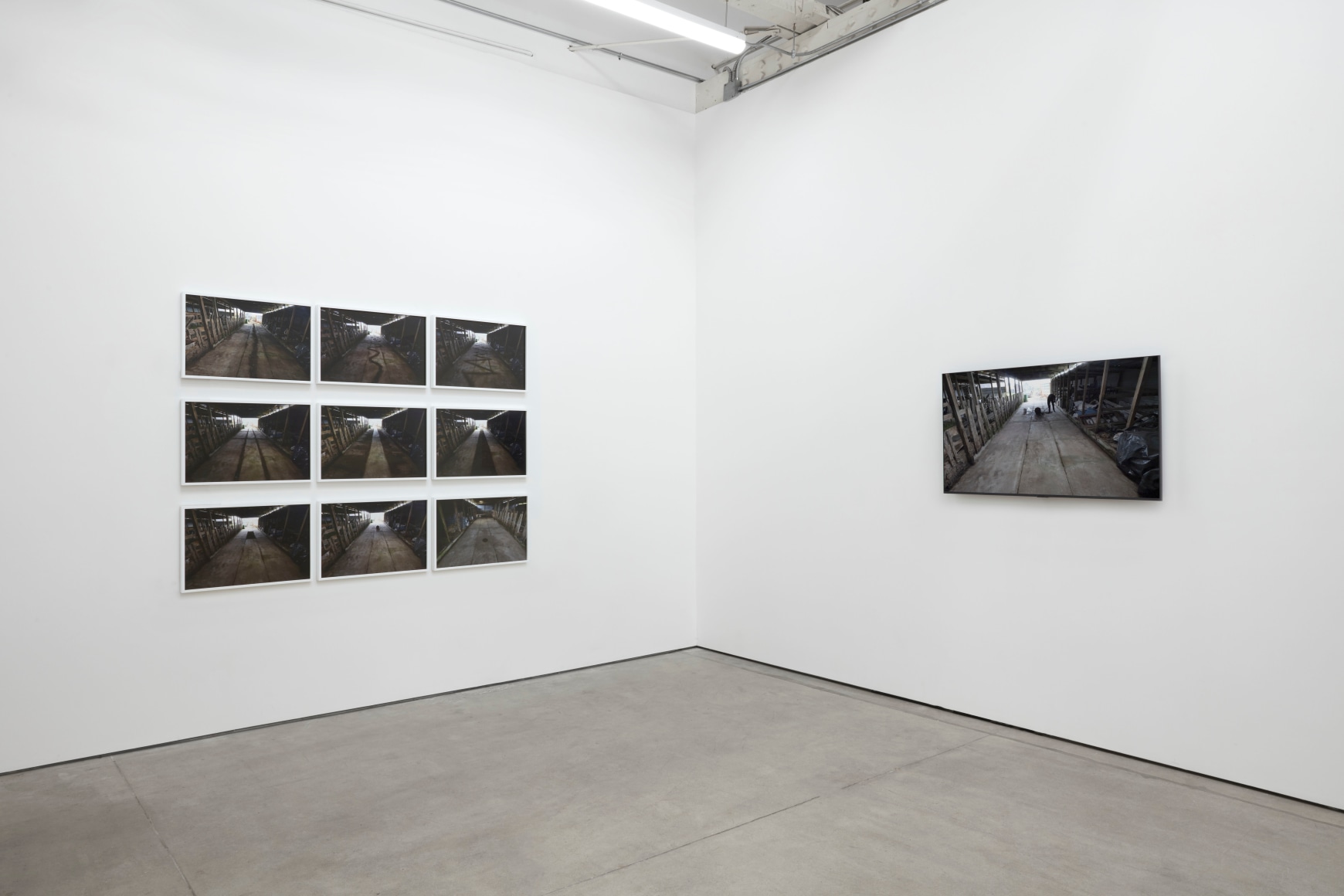 Andy Goldsworthy, Recent Works 2020, 2020