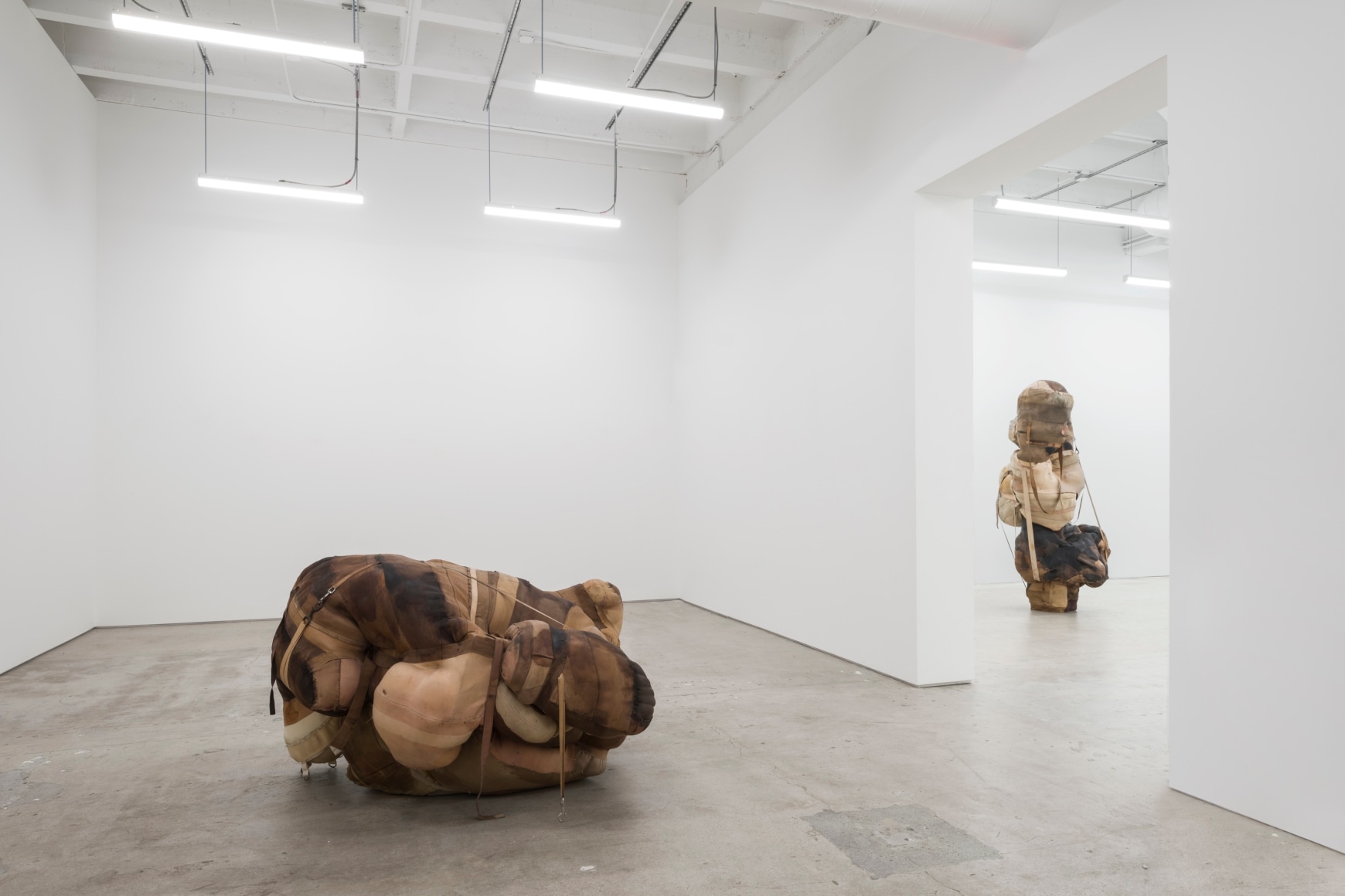 Patricia Ayres, Bound, 2021. Installation view