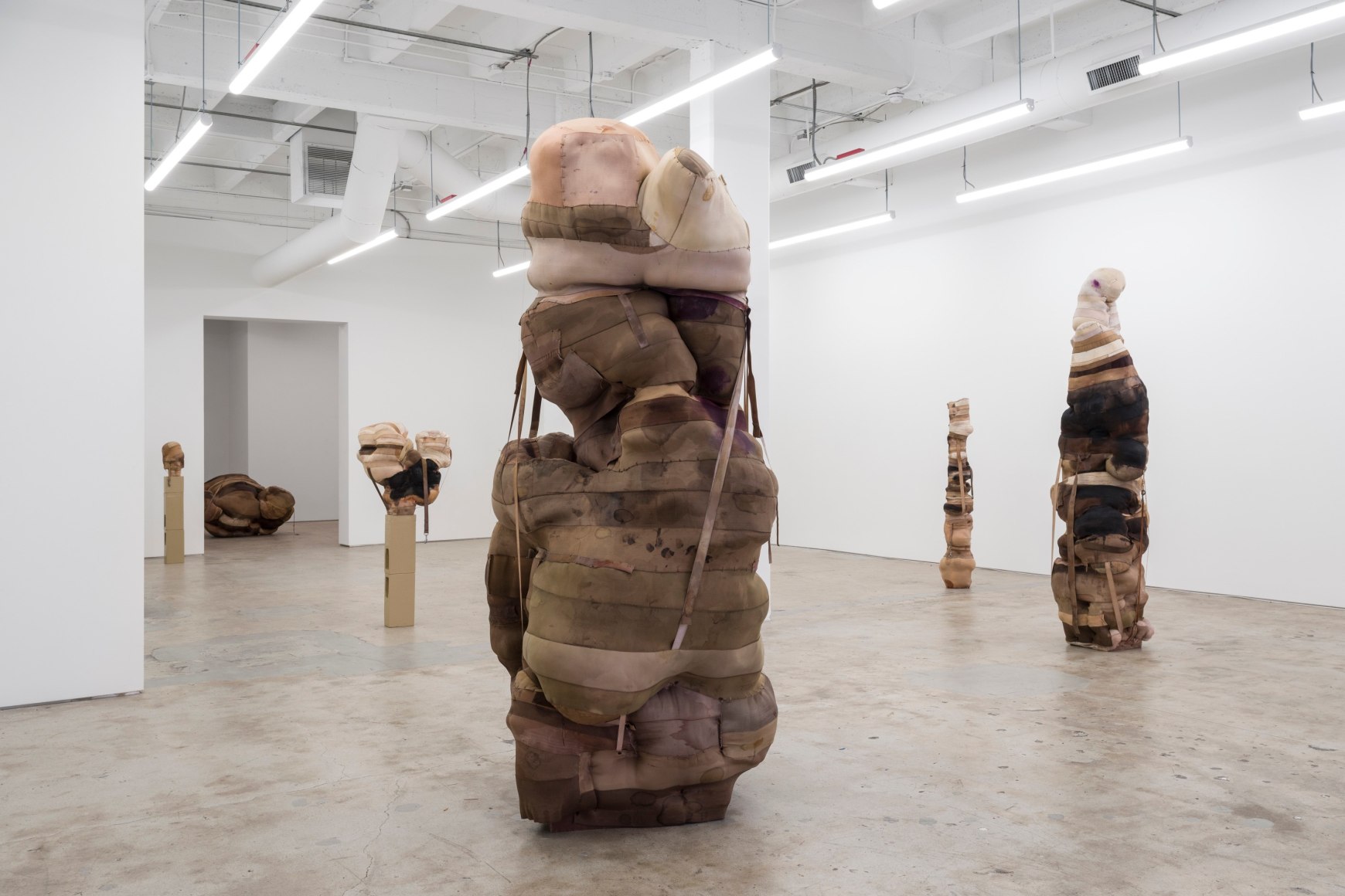 Patricia Ayres, Bound, 2021. Installation view