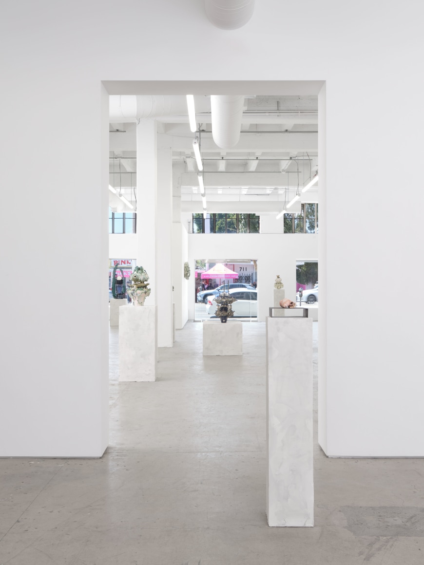 Heidi Lau and Leelee Chan,&nbsp;Chrysalis Spectre,&nbsp;Matthew Brown, Los Angeles, 2024. Installation view (Photo: Paul Salveson).&nbsp;