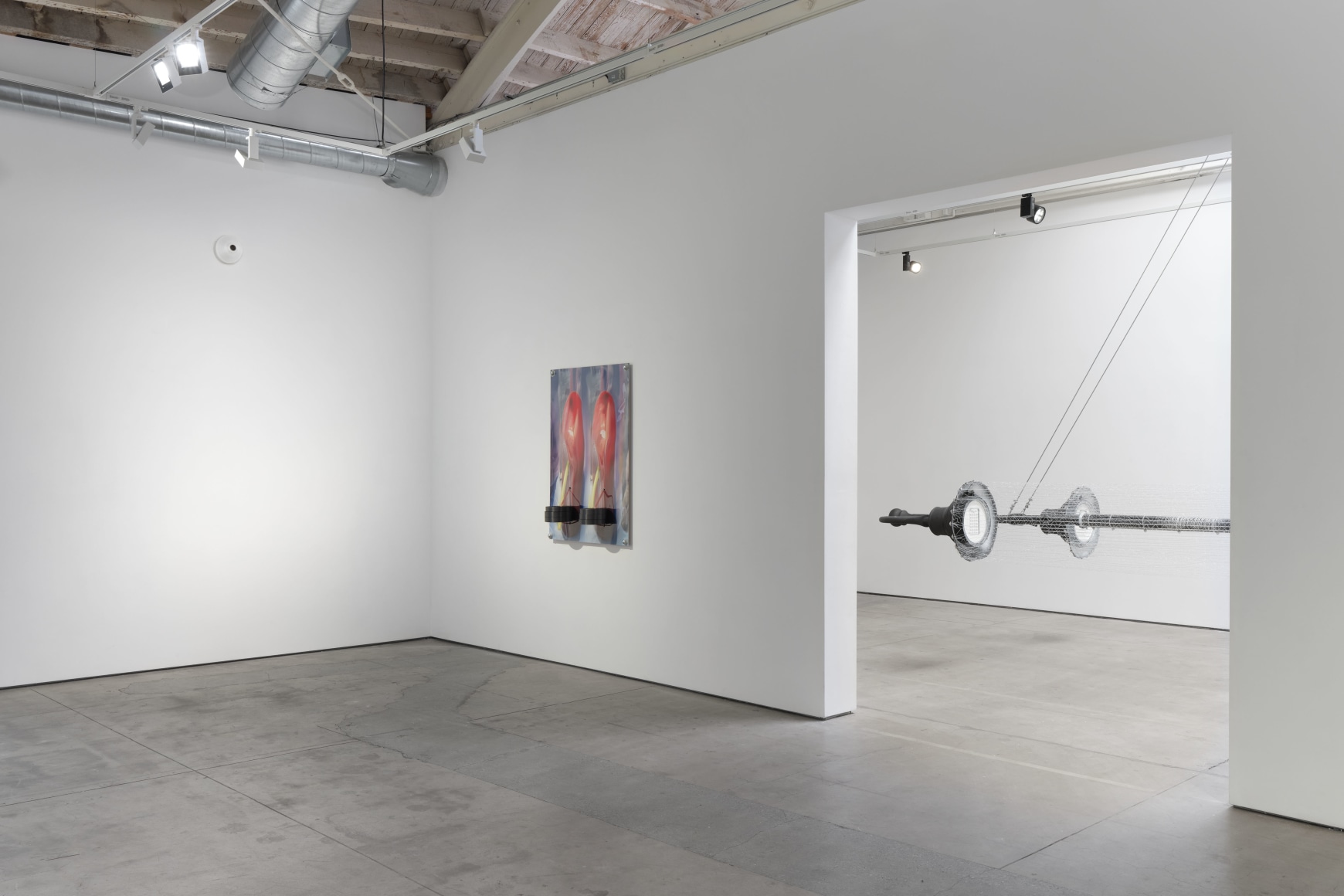 Jack O'Brien, Nectar, Matthew Brown, Los Angeles, 2024. Installation View., (Photo: Paul Salveson)