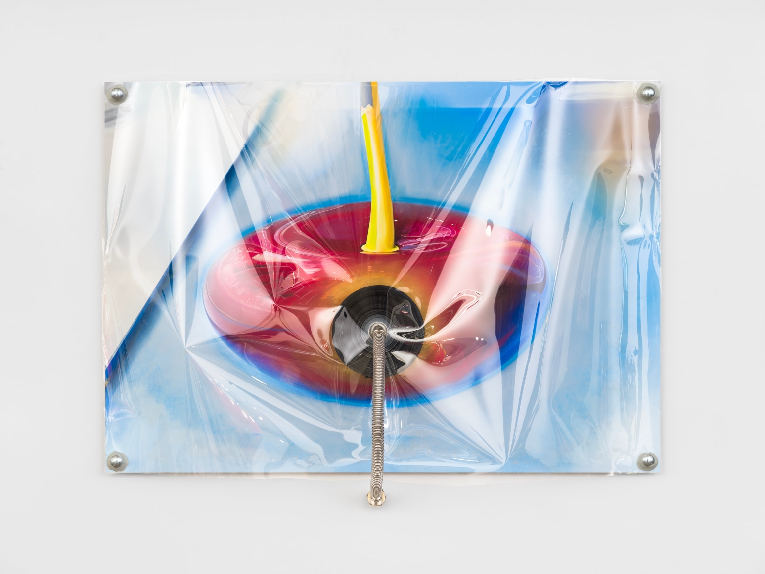 Jack O'Brien Ruse, 2024