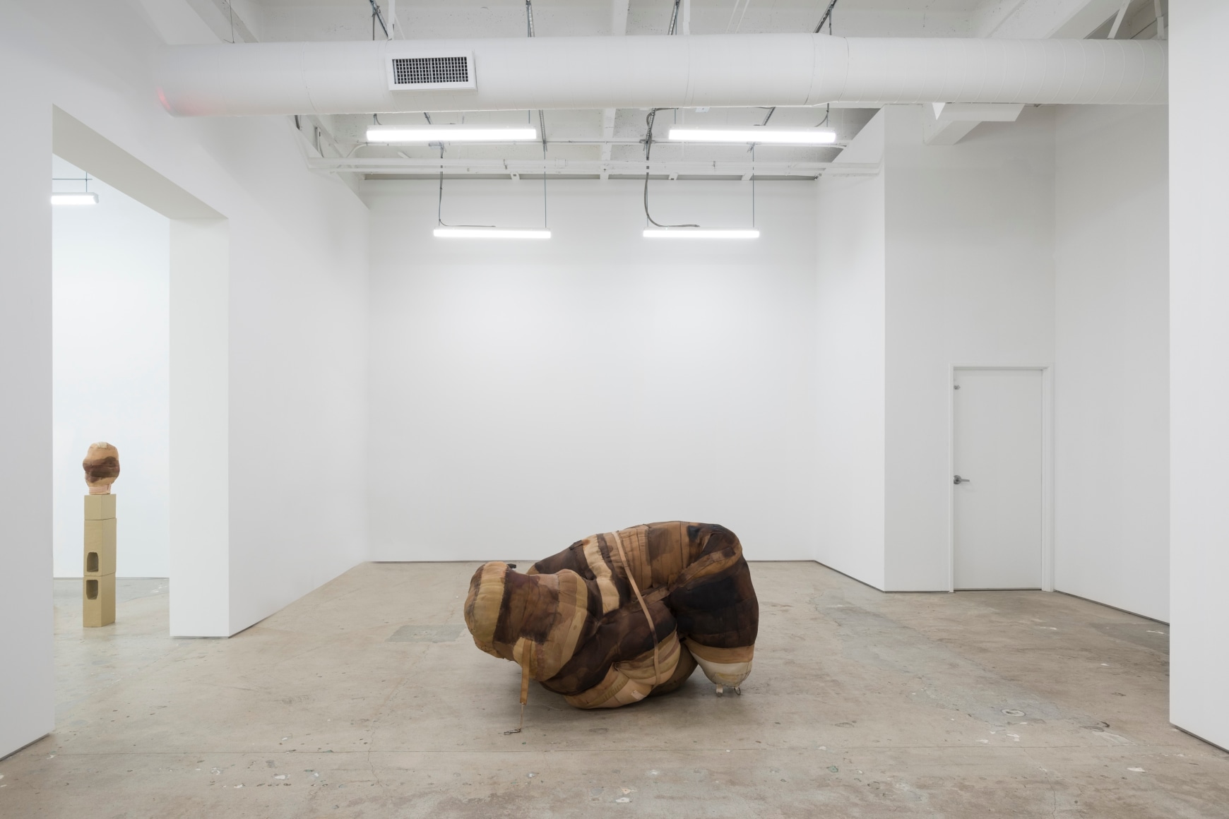 Patricia Ayres, Bound, 2021. Installation view