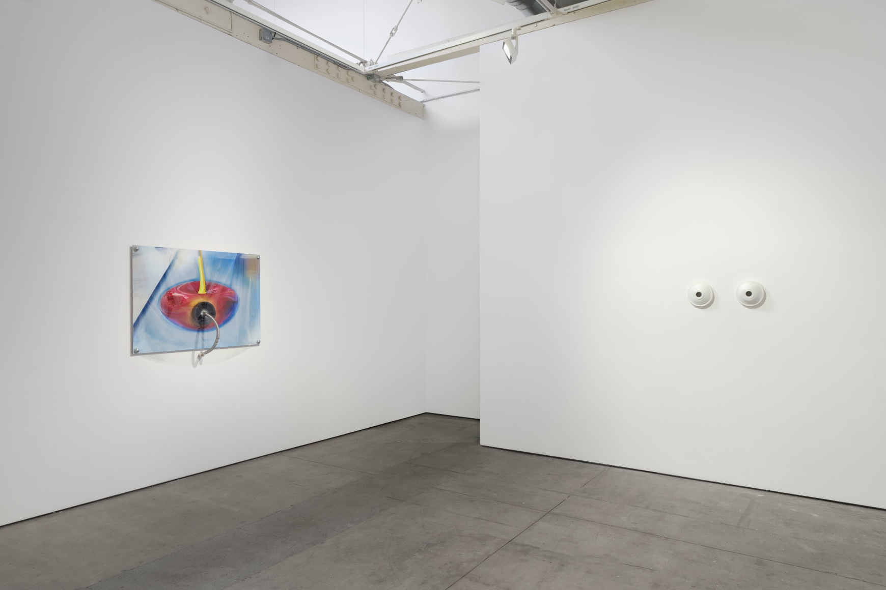 Jack O'Brien, Nectar, Matthew Brown, Los Angeles, 2024. Installation View., (Photo: Paul Salveson)