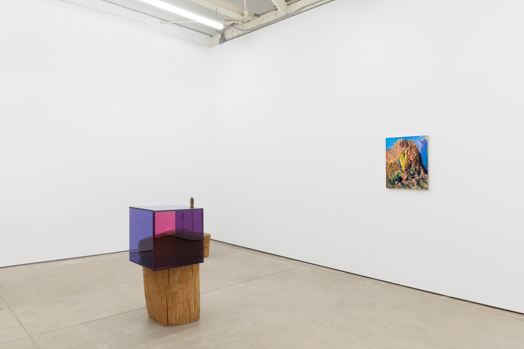 Installation view, That Land That I Live In