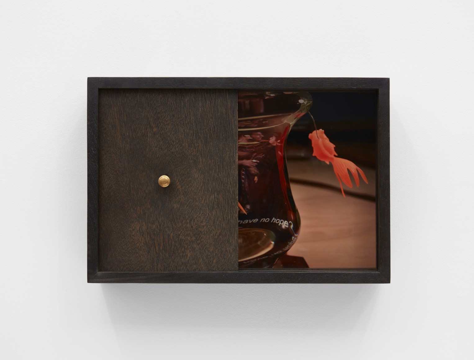 teaching history to a goldfish, 2020, Detail