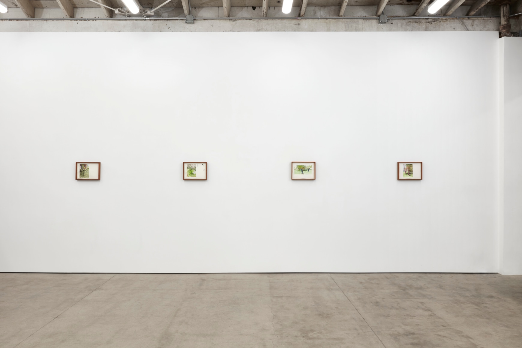 Fine As All Outdoors, 2020, Installation view