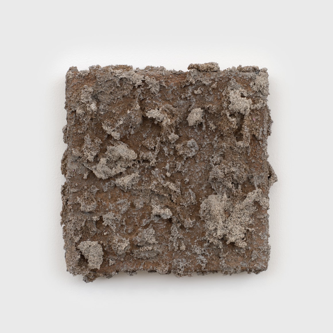 Alfonso Gonzalez Jr.