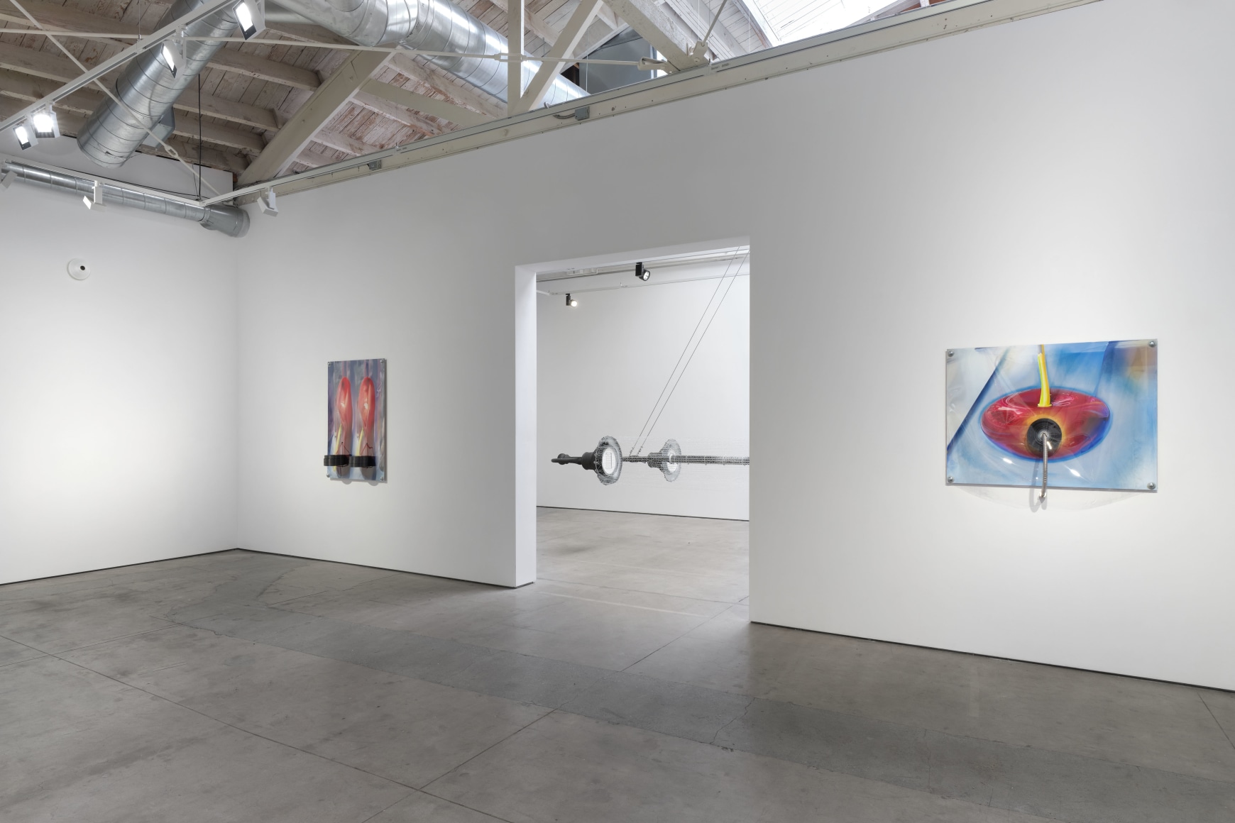 Jack O'Brien, Nectar, Matthew Brown, Los Angeles, 2024. Installation View., (Photo: Paul Salveson)