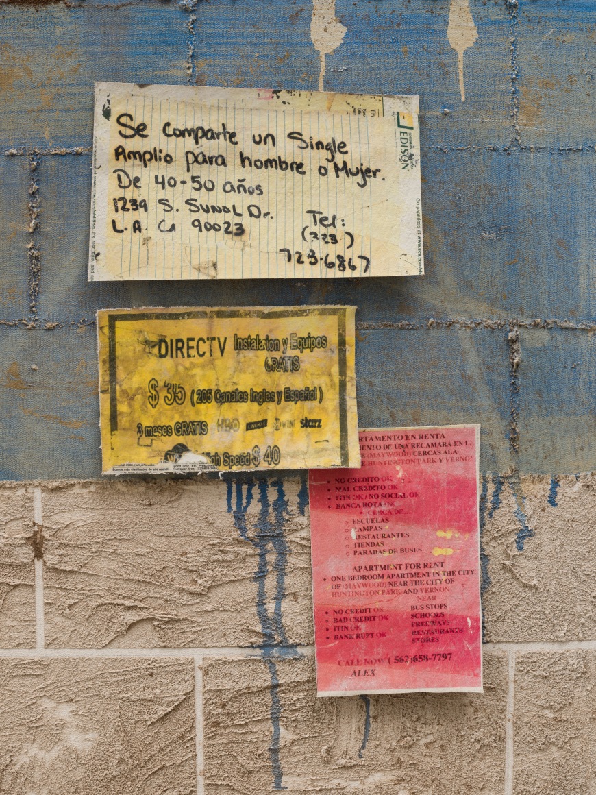 Alfonso Gonzalez Jr, Say No More Fam, 2022