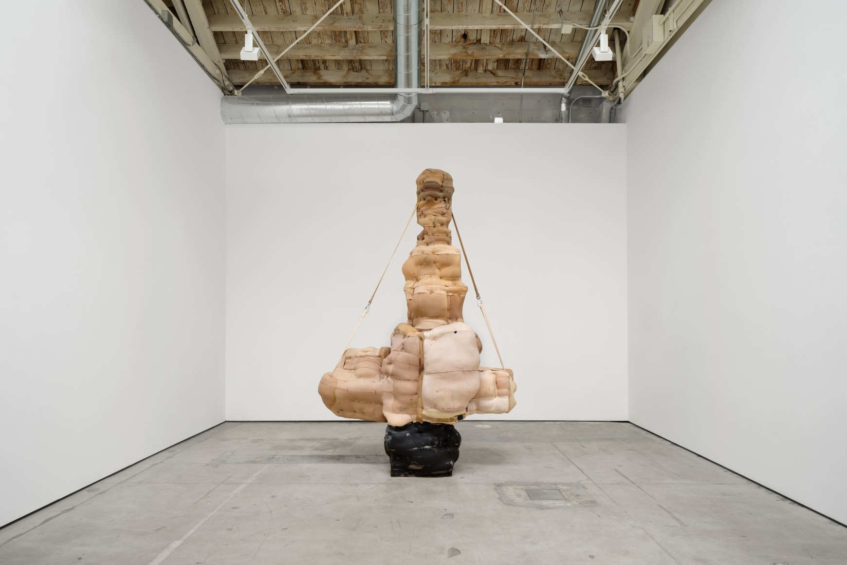 Patricia Ayres, Articles of the Estranged, Matthew Brown, Los Angeles, 2024. Installation view (photo: Paul Salveson). 