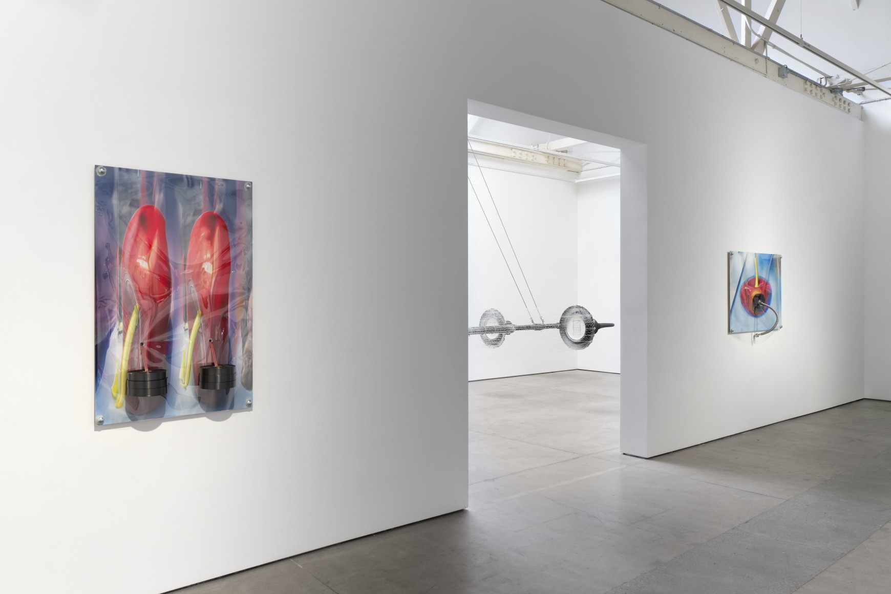 Jack O'Brien, Nectar, Matthew Brown, Los Angeles, 2024. Installation View., (Photo: Paul Salveson)