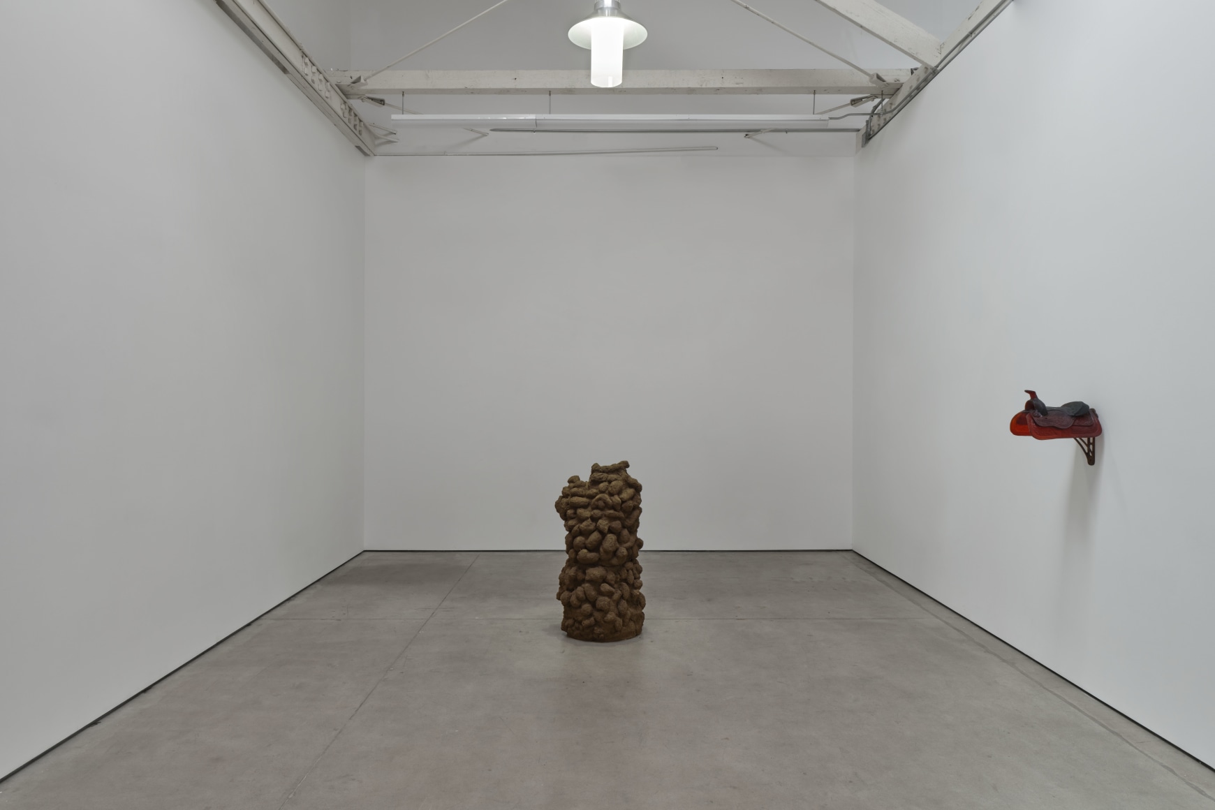 Sula Bermúdez-Silverman, Ichthyocentaur, Matthew Brown, Los Angeles, 2023. Installation view.