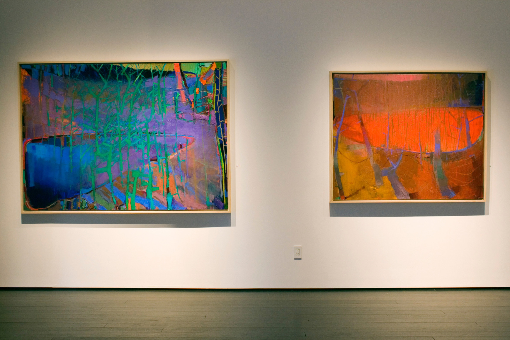 Brian Rutenberg: The Pond