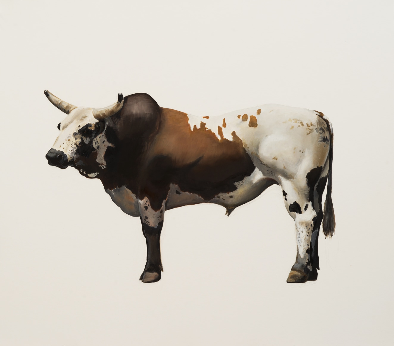 william beckman, Cheyenne (SOLD), 2017, oil on paper, 27 &frac12; x 31 &frac12; inches