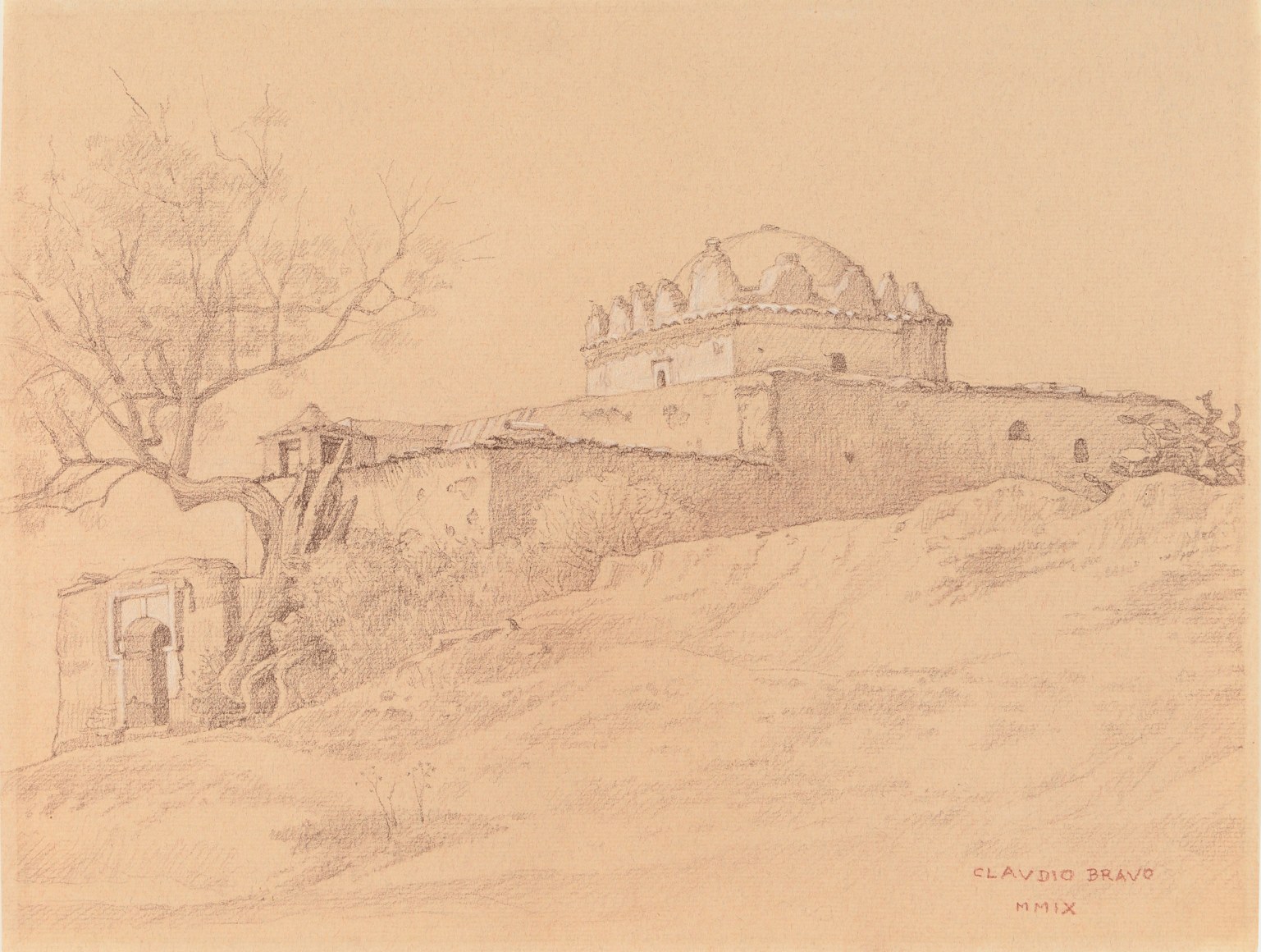 Claudio Bravo, Marabut Sepia / Sepia Marabut, 2009, pencil on paper, 9 1/2 x 12 3/8 inches