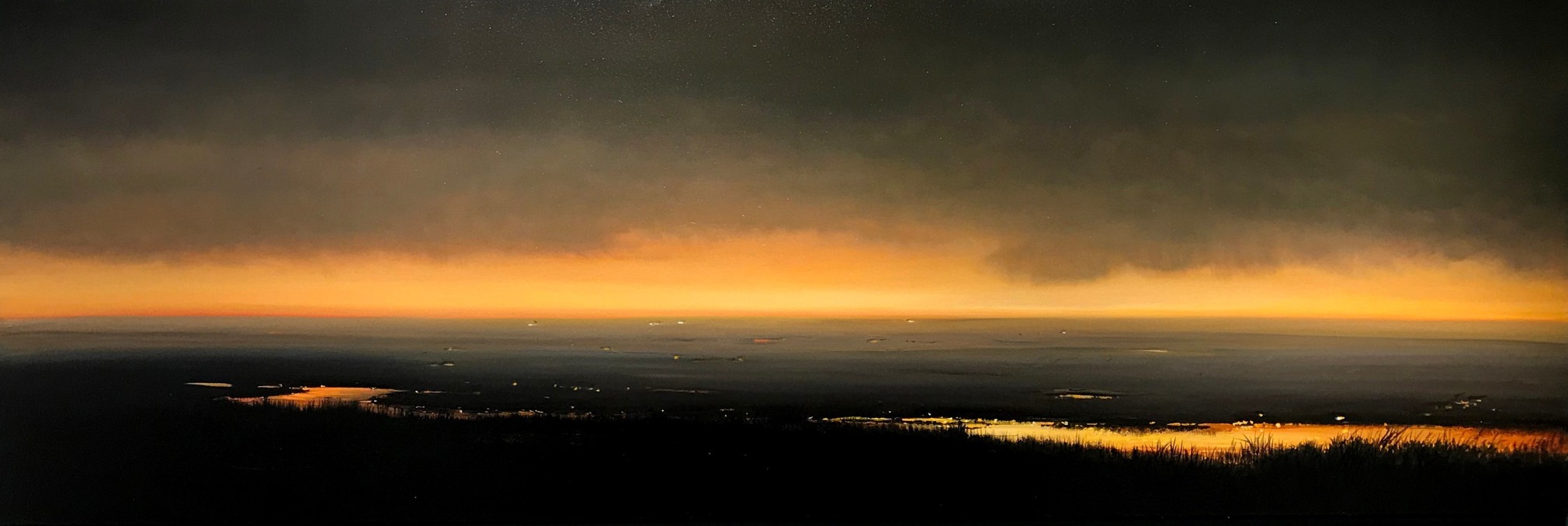 tula telfair, Disguising Nature, 2018, oil on canvas, 28 x 84 inches