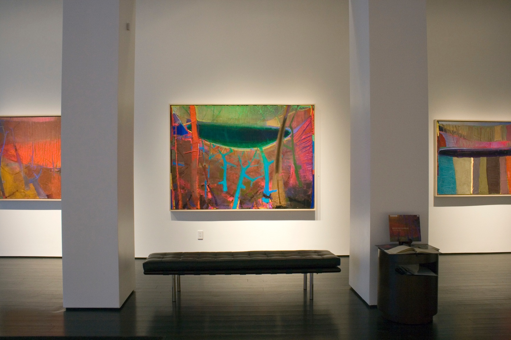 Brian Rutenberg: The Pond