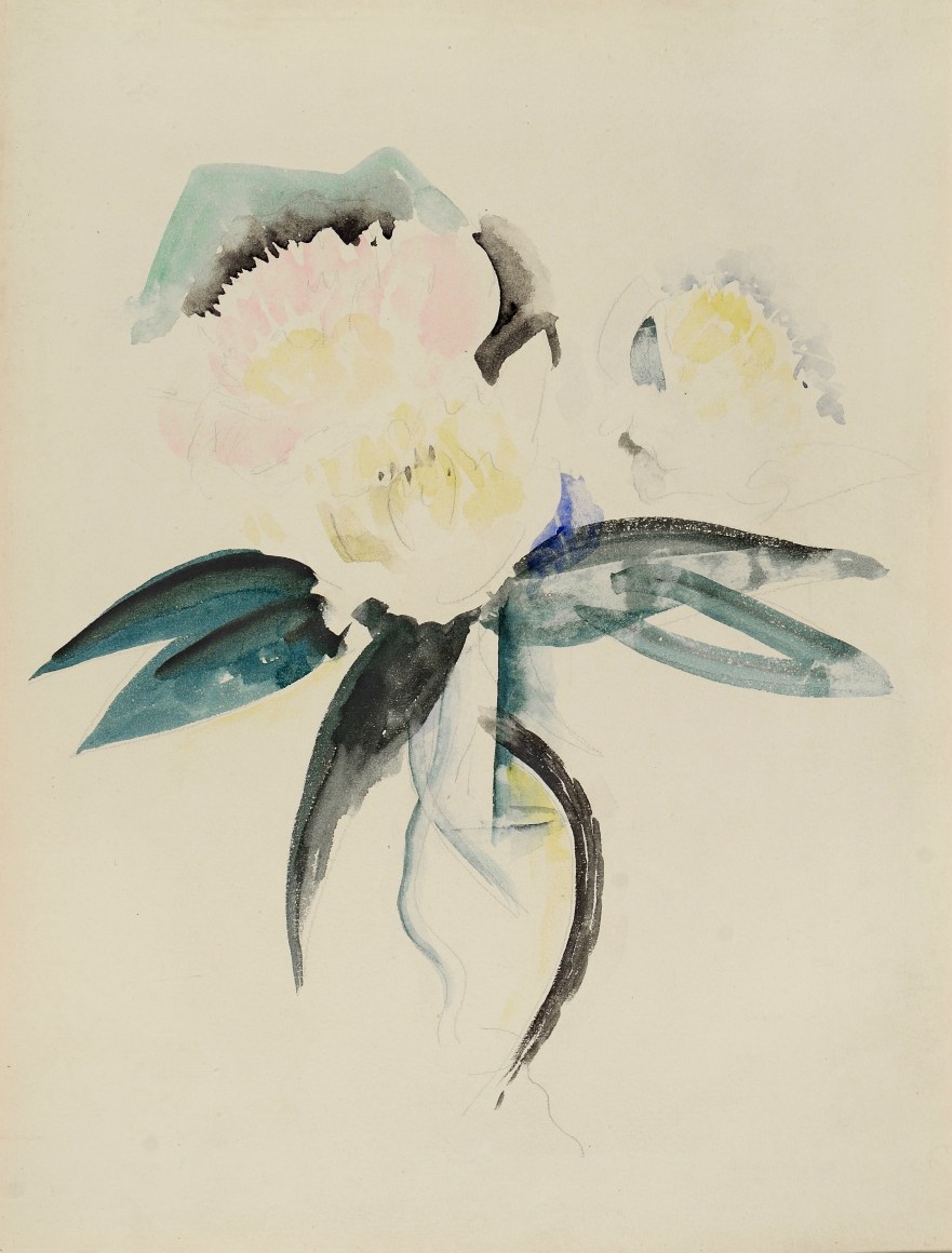 charles demuth, Flowers, c.1928-1932 watercolor and pencil on paper 13 3/8 x 10 1/8 inches
