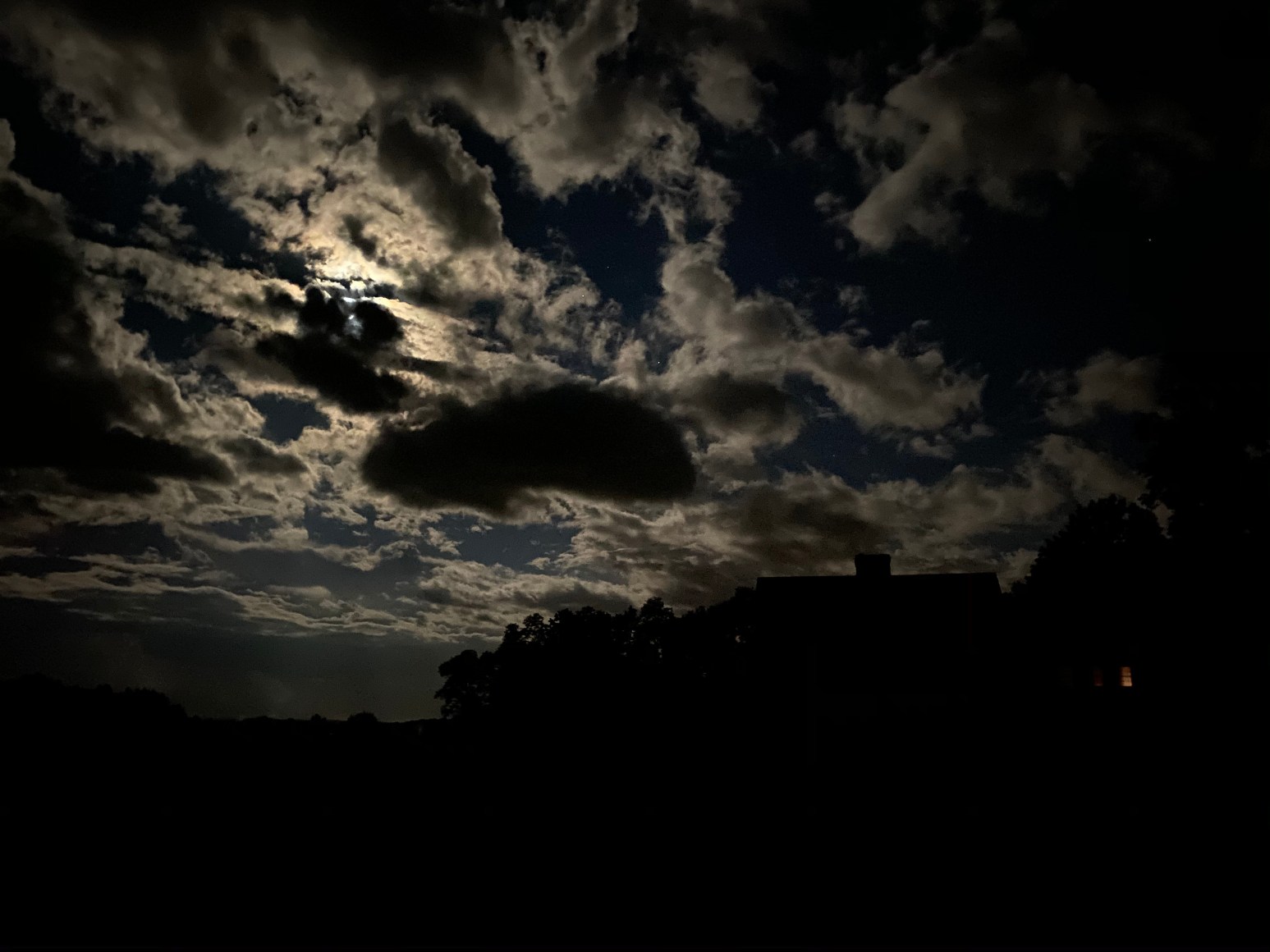 Untitled, 2020 Photograph