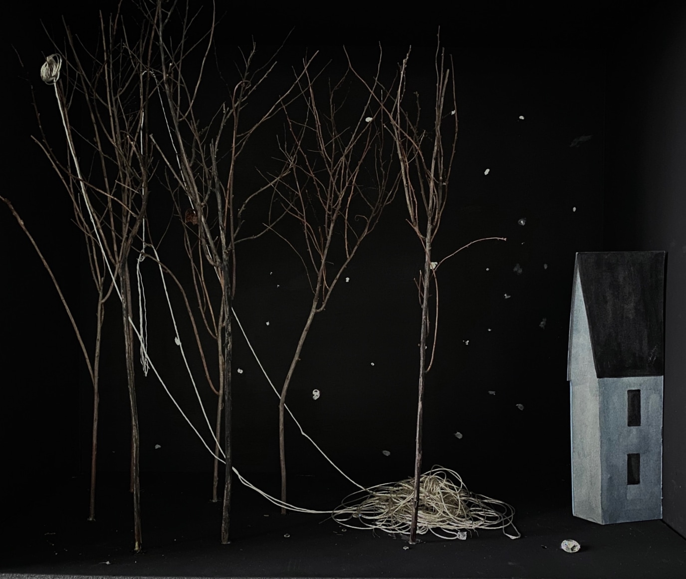 Diorama #2, 2020