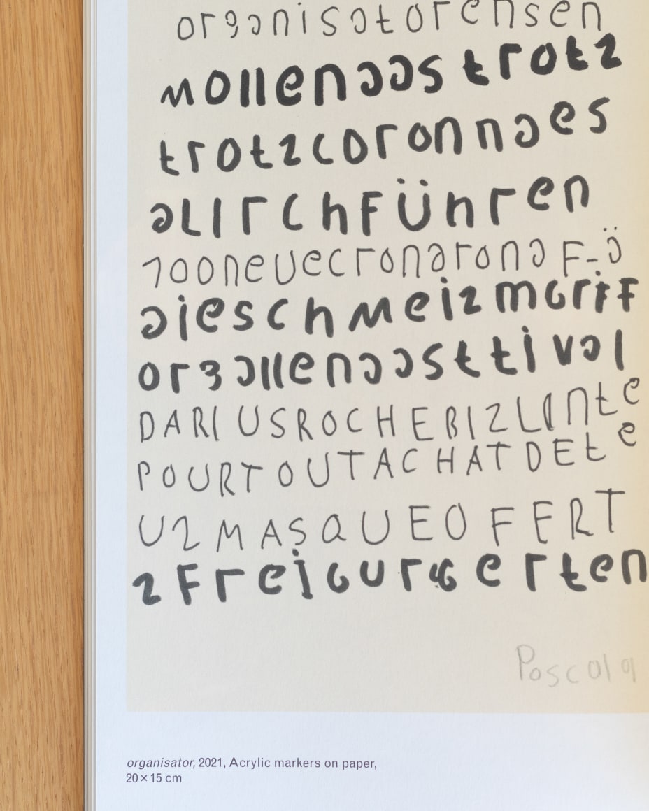 Pascal Vonlanthen: On Words and Images