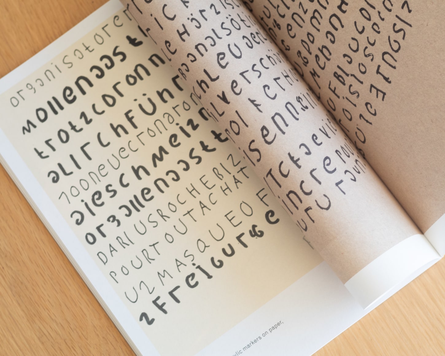 Pascal Vonlanthen: On Words and Images