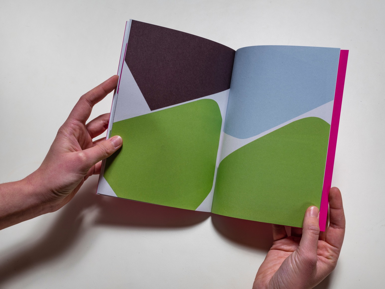 Albrecht Schnider : Two + 2