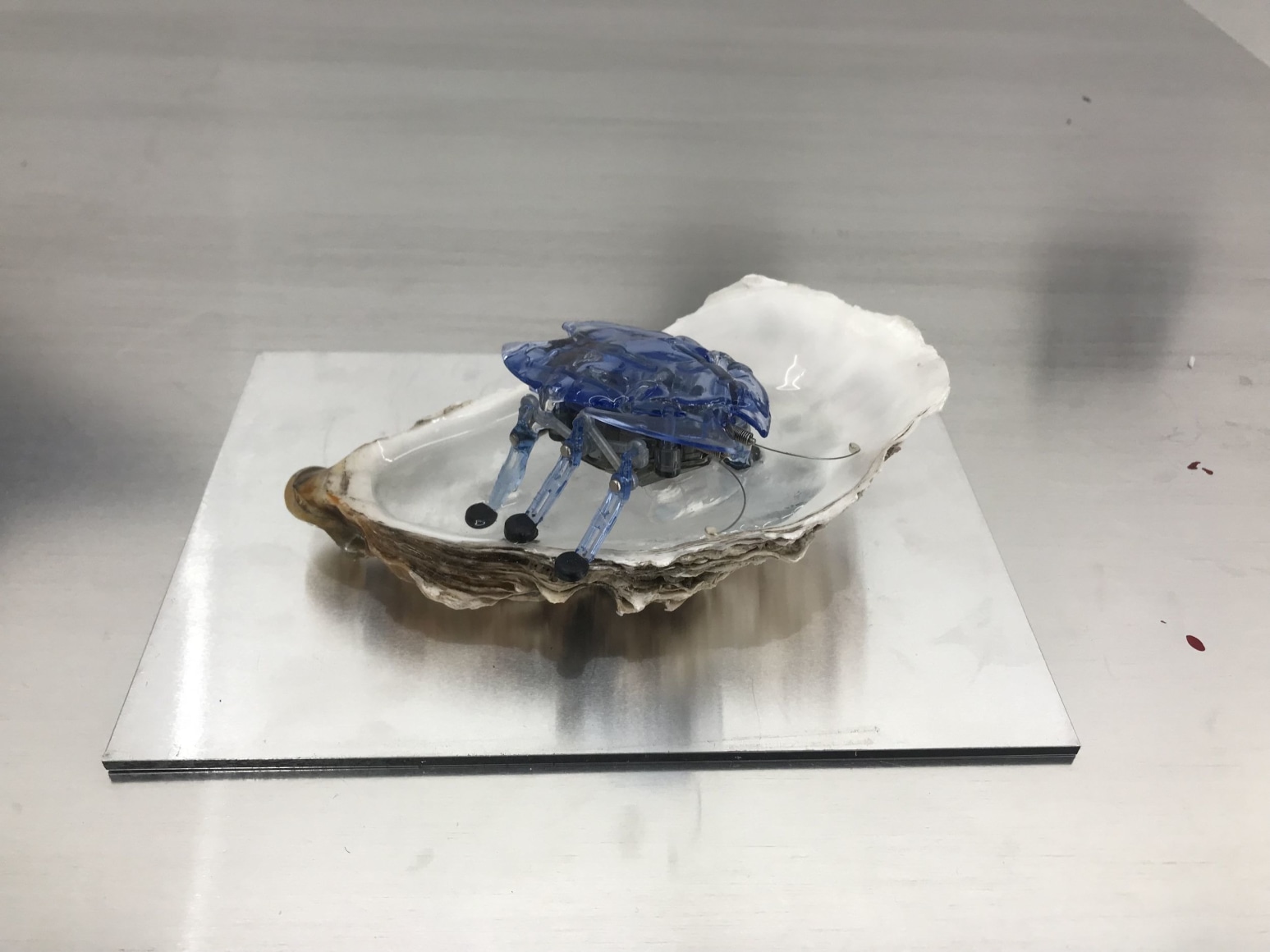 Katja Novitskova BORN AGAIN, 2018