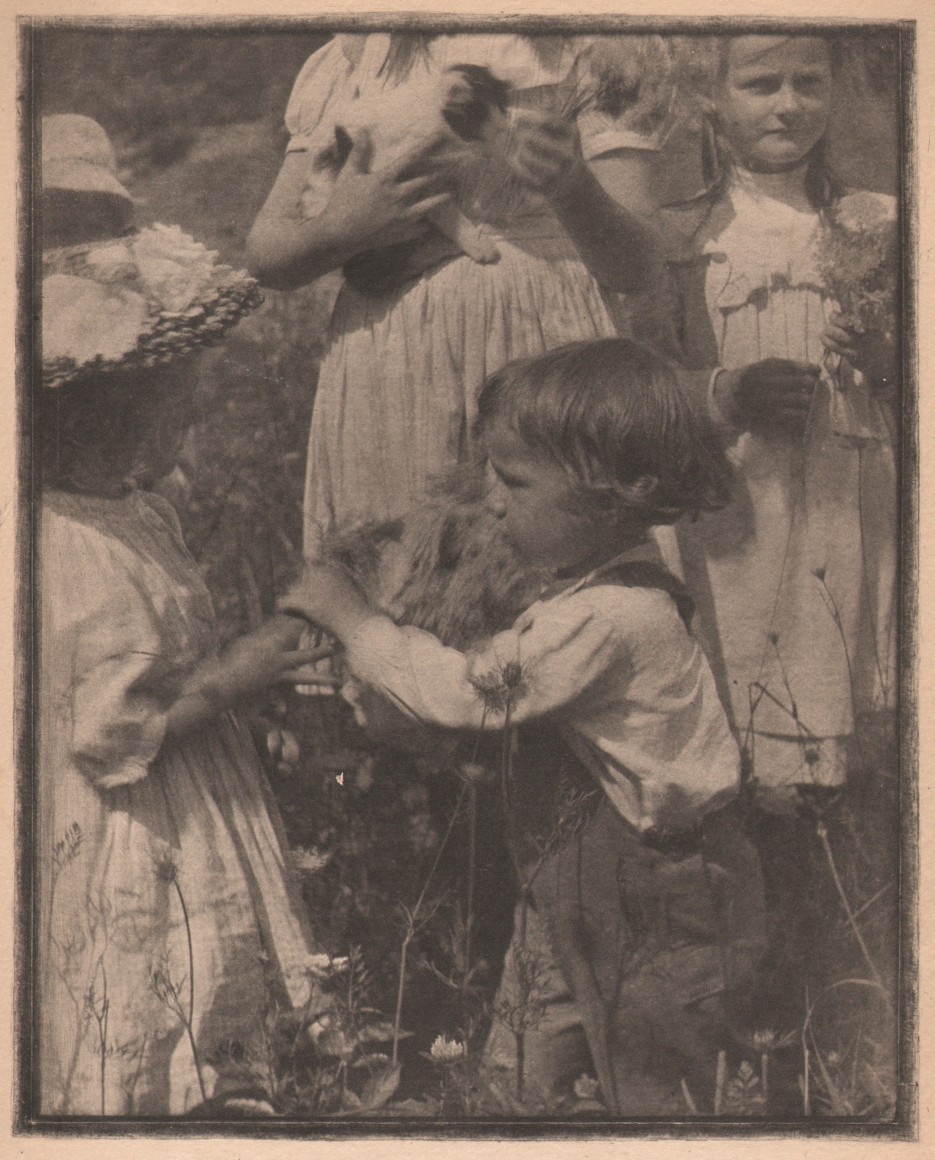 03. Gertrude K&auml;sebier, Happy Days, 1903. Five children playing outdoors amid tall grass and flowers. One child holds a cat.