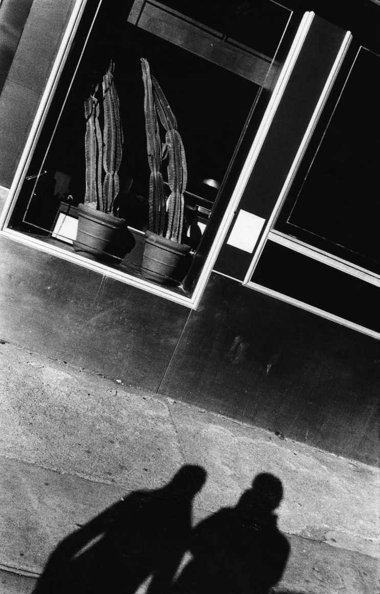 18. Anthony Barboza, Cactus &amp; Shadows, NYC, 1970s. Shadows of two figures on the sidewalk in front of a window with two large potted cacti.