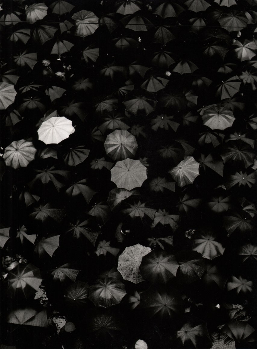 Nino Migliori, Albino, 1956. One white umbrella opened among many black umbrellas, photographed from above.