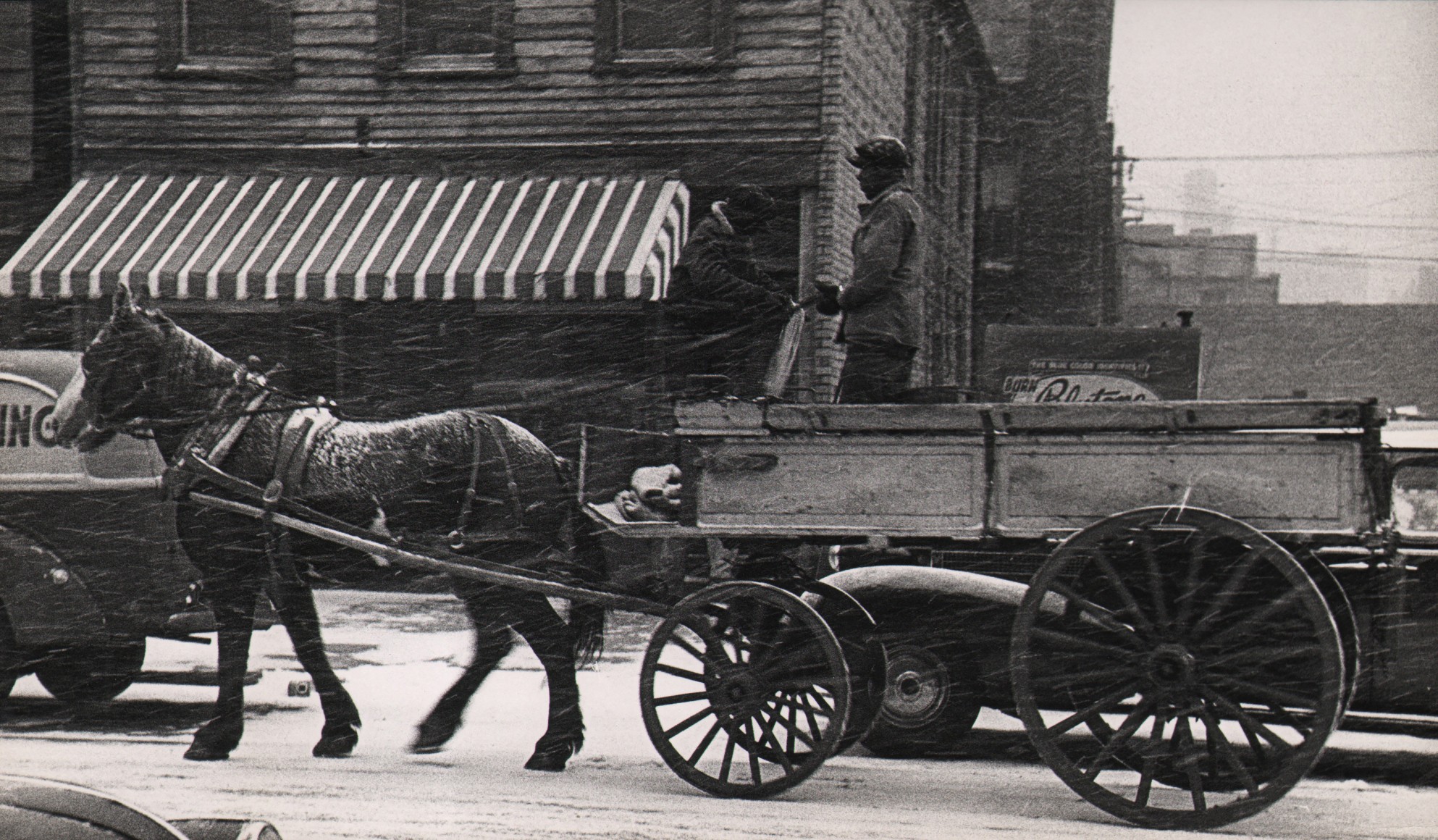 Marvin E. Newman, Chicago, 1949. Two men ride a horse-drawn wagon through a snowy street.