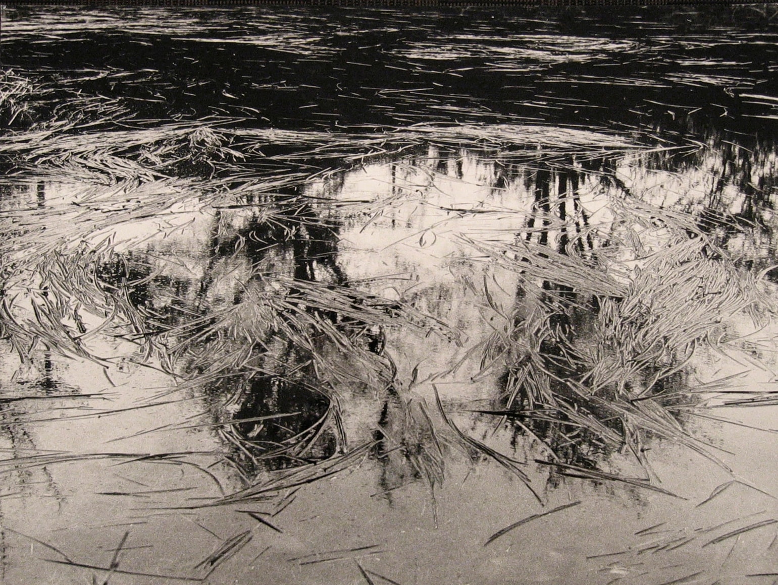 Tullio Stravisi, Il Temporale, ​1953. Reeds floating on a still body of water reflecting trees.