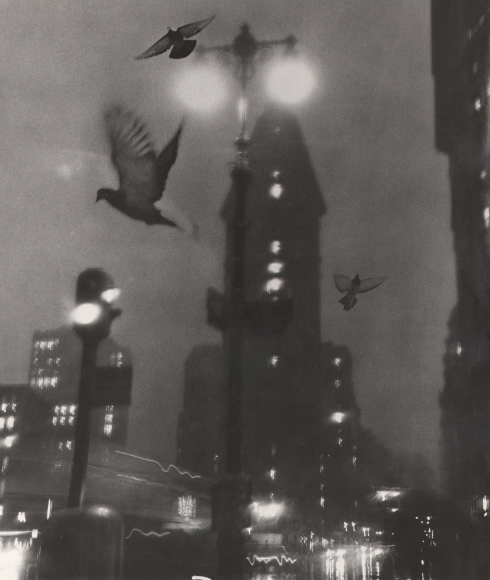 30. David Attie, Flatiron Building, ​c. 1958. Night scene facing the Flatiron Building, streetlights, car headlights, and three pigeons taking flight.