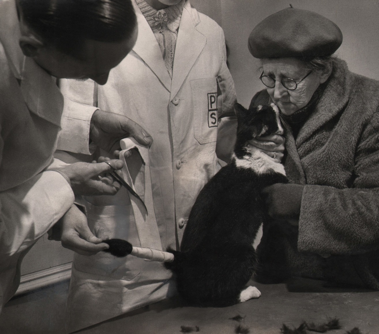 19. Godfrey Macdomnic, One of a series of pictures made by GODFREY MACDOMNIC for the People's Dispensary for Sick Animals movement, c. 1958. An old woman holds a cat on the table in front of her while two veterinarians in white coats wrap its tail in gauze.