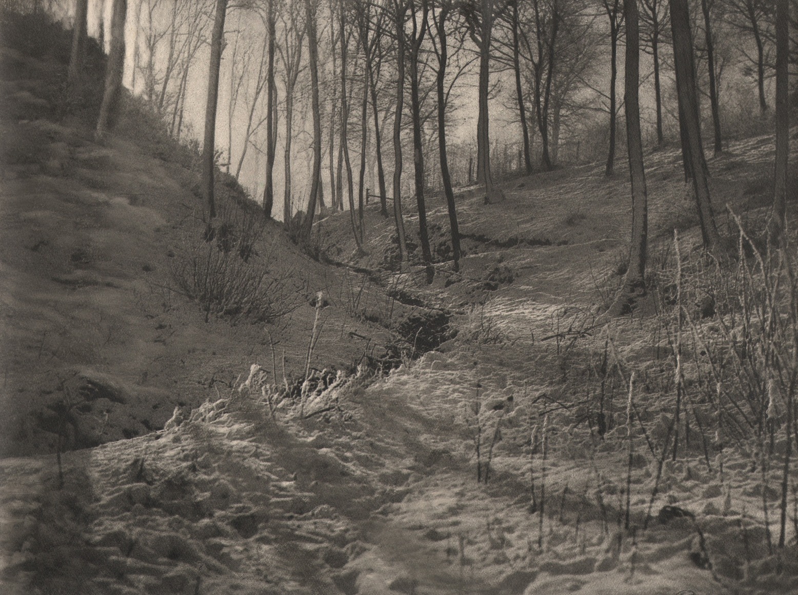 25. L&eacute;onard Misonne, [title illegible], 1933. Sun-streaked snowy, wooded hills with thin trees. Sepia-toned print.